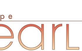 Photo de GROUPE PEARL - BARS - RESTAURANTS - DISCOTHEQUES - CLUBS pour l'EVENEMENTIEL - PARIS 