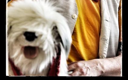 Photo de Pipo le Ventriloque pour enfants à Nice, Monaco