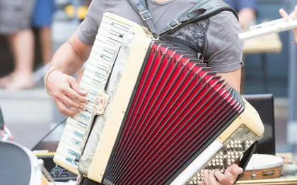 Photo de Accordéoniste, musique brésilienne et du monde, LES LANDES