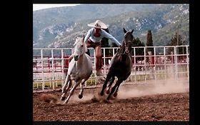 Photo de Texas Rodeo - Spectacle Equestre Western - Médiéval - Mexicain 