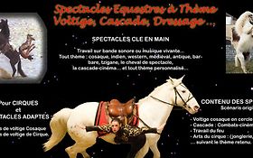 Photo de Cheval Art Action - spectacles équestres - spectacle de feu et voltiges - Reims - Marne