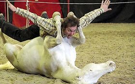Photo de Cie Andjaï - Spectacle Equestre Médiéval et western - Ariège