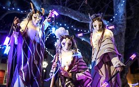 Photo de Compagnie Vaporium Spectacle de Rue / AVEYRON - OCCITANIE