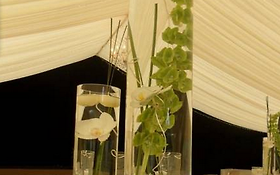 Photo de Organisateur et décorateur de mariage sur la région Toulousaine - Exception Fête Events