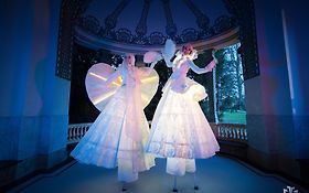 Photo de Compagnie Centaurée, Astraïa, échassiers blancs lumineux élégants