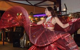 Photo de Sheerazaad.com - Danse Orientale - SAVIGNY LE TEMPLE