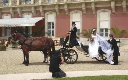 Photo de La Calèche Enchantée, location de calèche, Pyrénées-Atlantiques