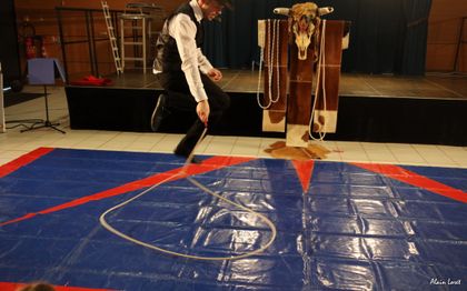 Photo de Artistes de Cirque : LES CARLISONS de Loire-Atlantique