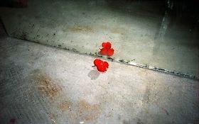 Photo de L'IMAGINEUR - PHOTO ET PHOTOGRAPHIE - EXPOSITION - ATELIER...MARSEILLE ET BOUCHES DU RHONE 