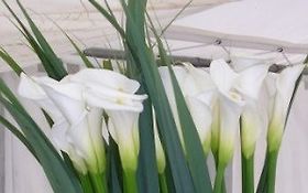 Photo de Décoration Florale - Mariage Hors série - Yvelines