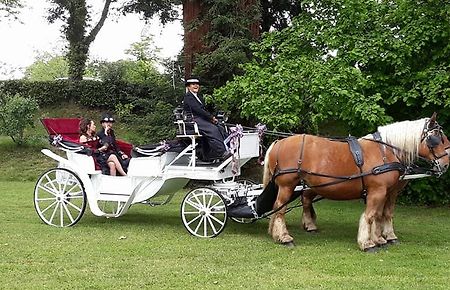 Autrot'Mant : LOCATION DE CALECHES / LANDES