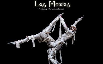 Photo de Clowns dans la Sciure de Toulouse - Carcassonne