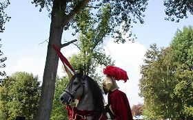 Photo de  Spectacle équestre - Tournoi de Chevalerie - AISNE