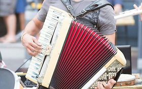 Photo de Accordéoniste, musique brésilienne et du monde, LES LANDES