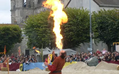 Photo de SYLVAIN RIVIERE Spectacle Animalier, Médiéval, Western, Cascadeur