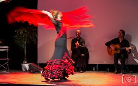 Photo de EVENEMENTIEL FLAMENCO à Paris-GRITO FLAMENCO 