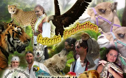 Photo de Spectacle et Location de Singe, Perroquets, Loups Bruxelles / BELGIQUE