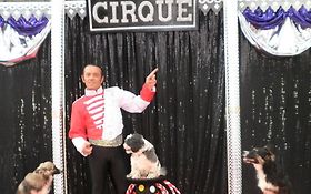 Photo de Christopher - Spectacle Animalier - Magie - Jongleur - Fakir - OISE 