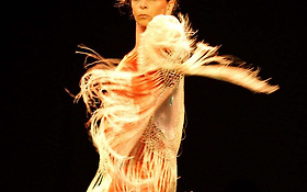 Photo de SPECTACLE FLAMENCO, MTAPROD/ PARIS