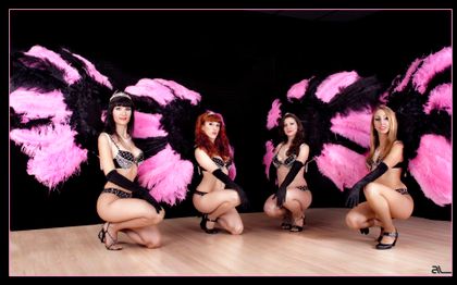 Photo de BEAUTIFUL COMPAGNIE - REVUE CABARET MUSIC HALL DE LYON