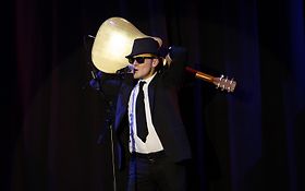 Guitariste Chanteur Cabaret