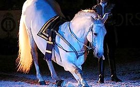 Photo de L'hacienda - Spectacle EQUESTRE  - VAR  - BELGENTIER