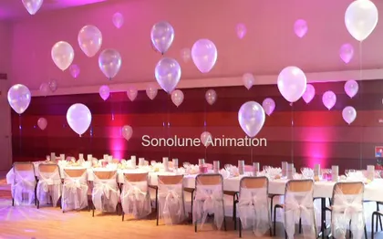 Photo de 69 Animation Sonolune - Chanteuse + musicien DJ - LYON - RHONE ALPES