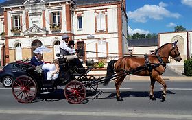 Photo de Attelage de la gazelle - Location de Caleche - SEINE ET MARNE