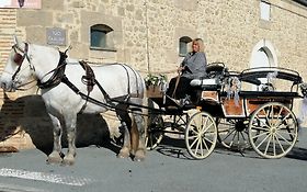 Photo de Les Calèches d'Annika - Location de Calèches - Attelage - Aquitaine
