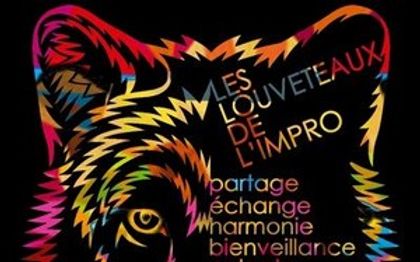 Photo de Collectif Les Louveteaux de l'improvisation théâtrale de Montpellier
