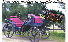 Photo de L'attelage de d'jack - Location de calèche en Vendée