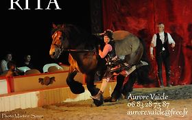 Photo de Spectacle Equestre - Cie les yeux dans les crins -