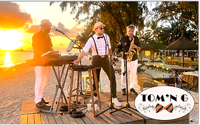 Photo de TOM'N G, duo ou trio, pop variété internationale, 74, 73, Suisse