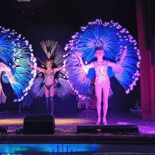 Spectacle  Transformistes les Talents Aiguilles / MARNE