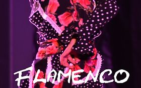 Photo de Compagnie de Flamenco Marina Pomares / Toulouse