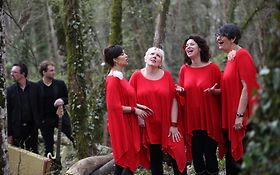 Photo de Gospel Angel - Mariages, cérémonies laïques, vins d'honneur