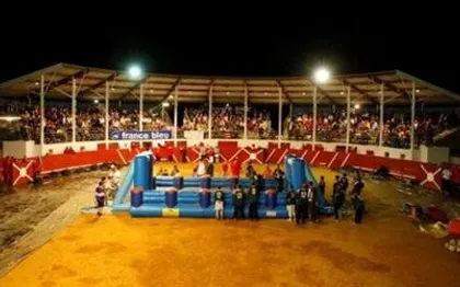 Photo de Denisanim - Location de jeux gonflables - Jeux Inter Villes - GIRONDE 