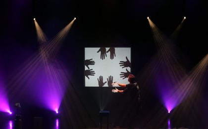 Photo de Ombres Chinoises, Magie Jérôme Helfenstein MAGICIEN / ANNECY - SAVOIE