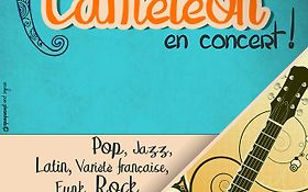 Photo de Cameleon - Groupe de variété - soul - pop - acoustique - Trouy