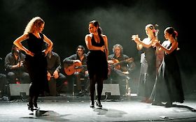 Photo de FLAMENCO A PARIS - SPECTACLE , ANIMATIONS , EVENEMENTIEL 