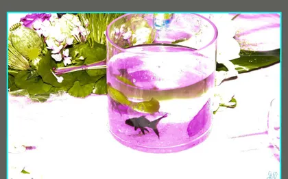 Photo de Dites-oui ! Wedding planner en Gironde