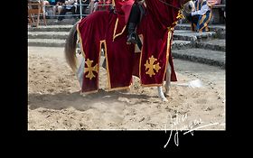Photo de Spectacle équestre  - Rhône Alpes et International  