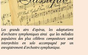 Photo de Animation musicale Flûte traversière classique