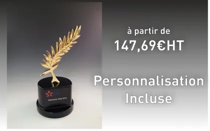 Photo de Tryje-trophée® - Récompenses pour entreprises en 24H