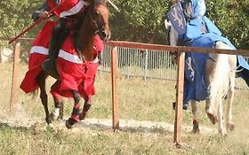 Photo de ACAP - SPECTACLE AVEC CHEVAUX ET CASCADES - VAL D OISE