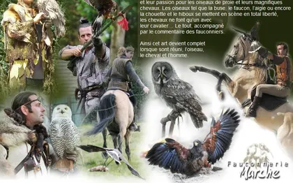 Photo de SARL Fauconnerie MARCHE 