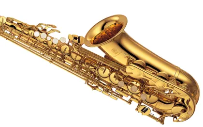 Photo de Michel LAGARRIGUE Saxophoniste, Clavier et Chanteur / TARN ET GARONNE