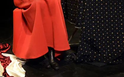Photo de Martine Billot Humoriste et Conteuse de Lyon