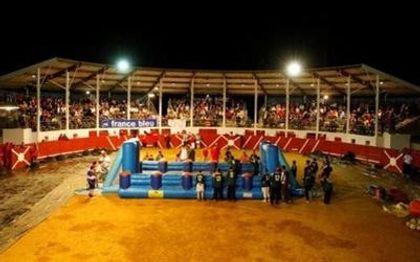 Photo de Denisanim - Location de jeux gonflables - Jeux Inter Villes - GIRONDE 