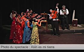 Photo de Spectacle de Flamenco - Compania de baile Chispa Flamenca